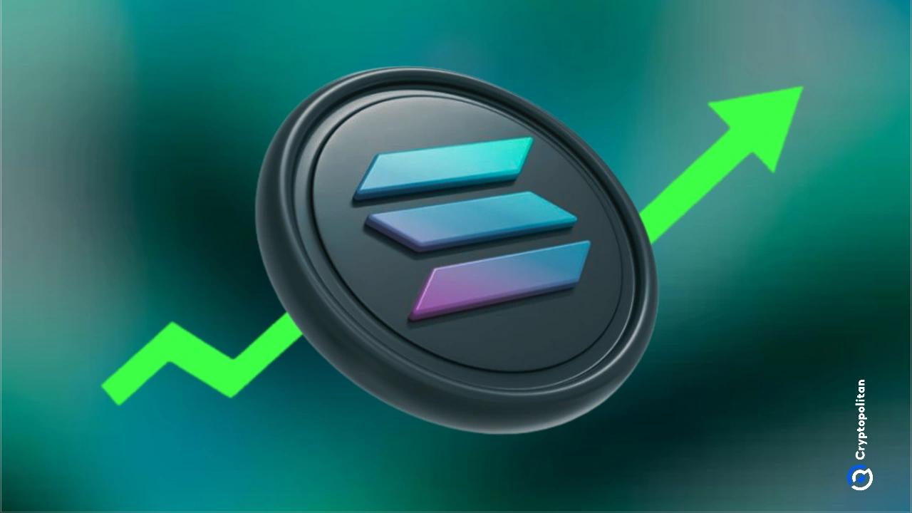 Solana在梗圈活动中再次现身,Pengu(Pengu)随之推出
