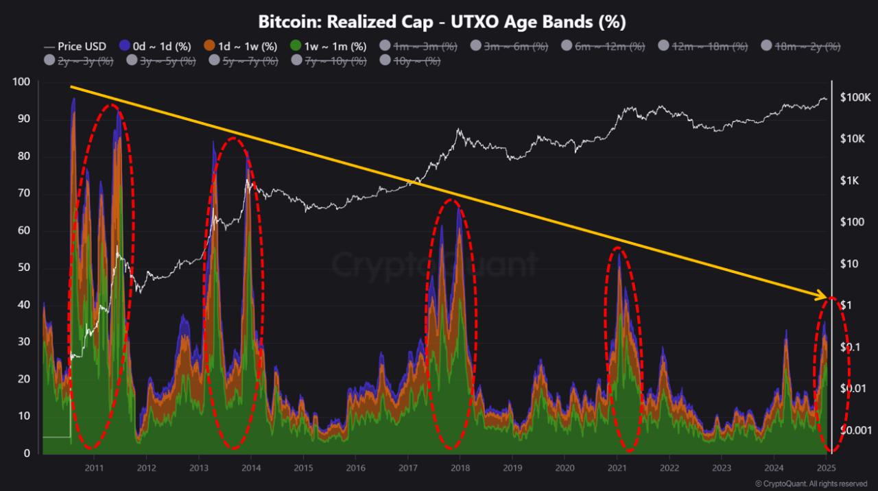 CryptoQuant分析师称比特币牛市正进入“尾声阶段”——原因解析